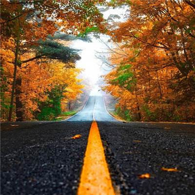 星空体育网站入口