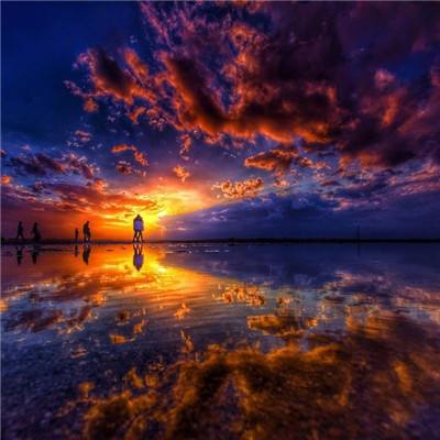 加拿大28下载手机版